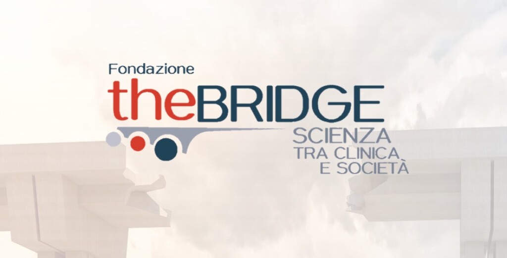 Fondazione The Bridge - Fondazione the Bridge